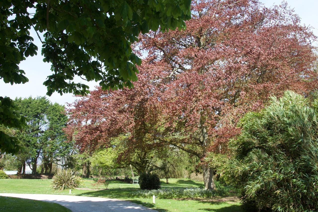 Trewornan Manor Panzió Wadebridge Kültér fotó